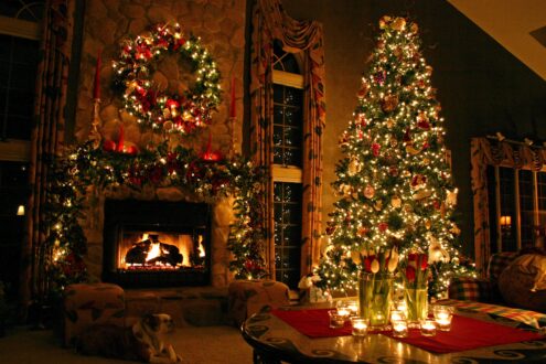 Christmas Tree 5