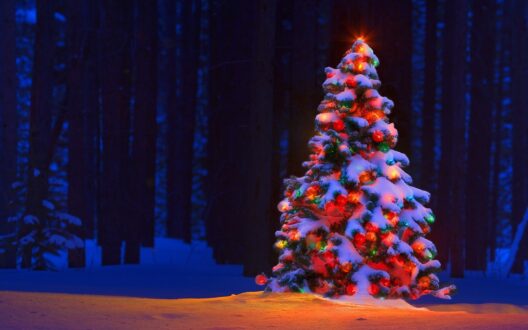 Christmas Tree PC Wallpapers