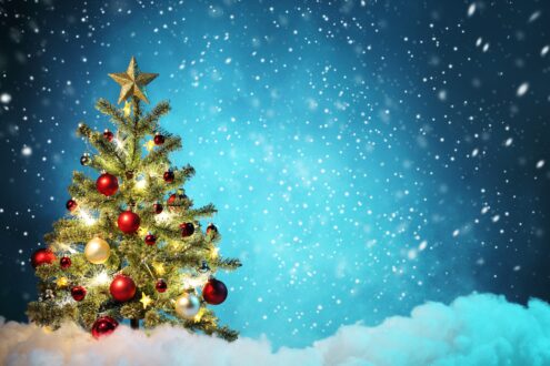 Christmas Tree Photo Gallery