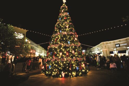 Christmas Tree Pics