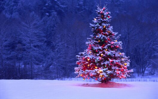 Christmas Tree Wallpapers 3