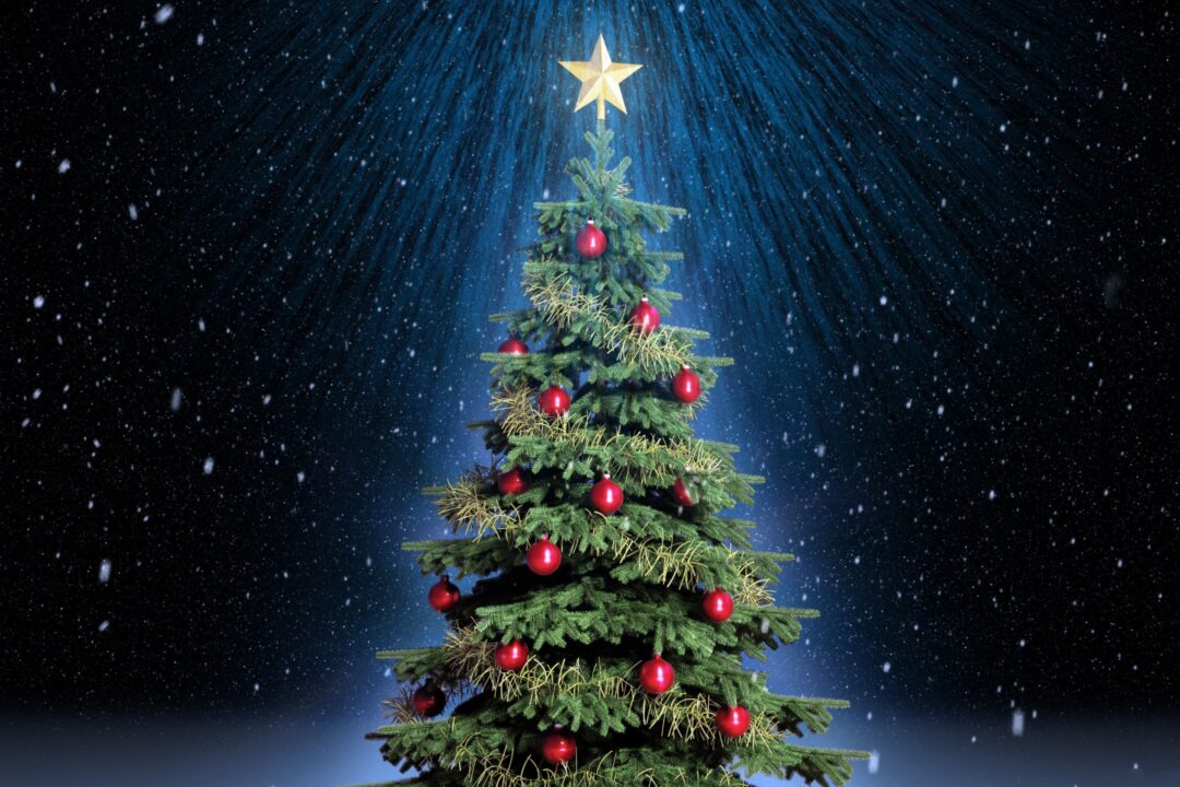 Christmas Tree Wallpapers for Windows