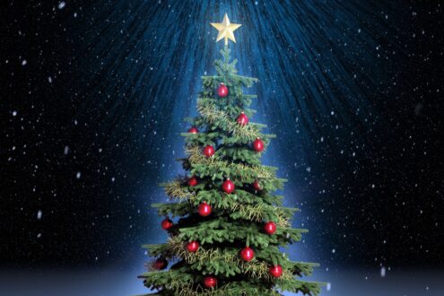 Christmas Tree Wallpapers for Windows