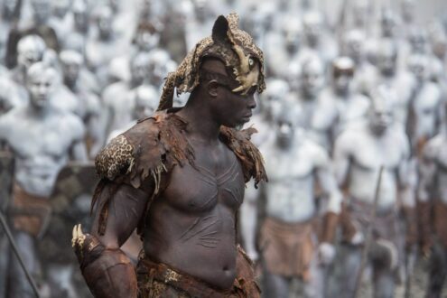 Djimon Hounsou Gallery