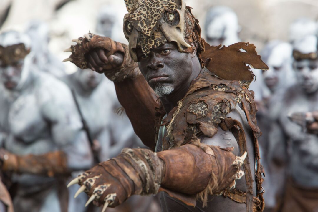 Djimon Hounsou Wallpapers