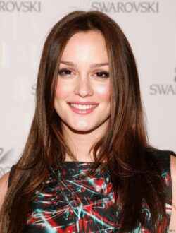 Leighton Meester HD