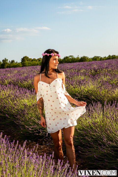 Lexi Dona 6