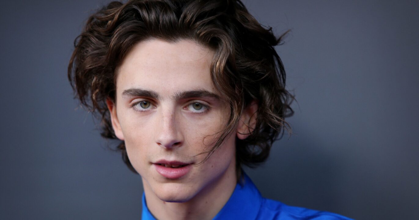 Timothee Chalamet Computer Wallpapers