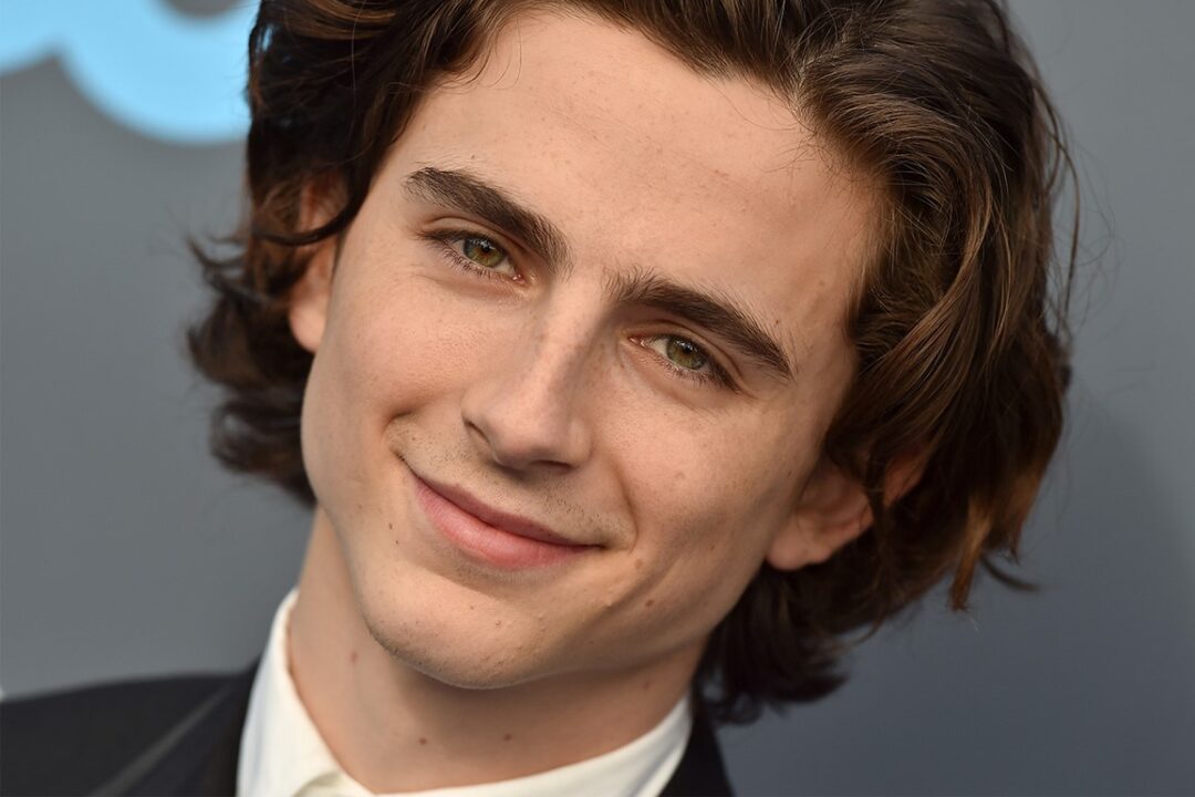 Timothee Chalamet Photos