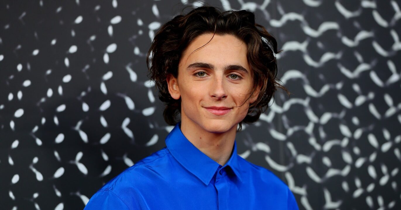 Timothee Chalamet Wallpapers