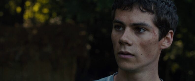 Dylan O’Brien Wallpapers for PC