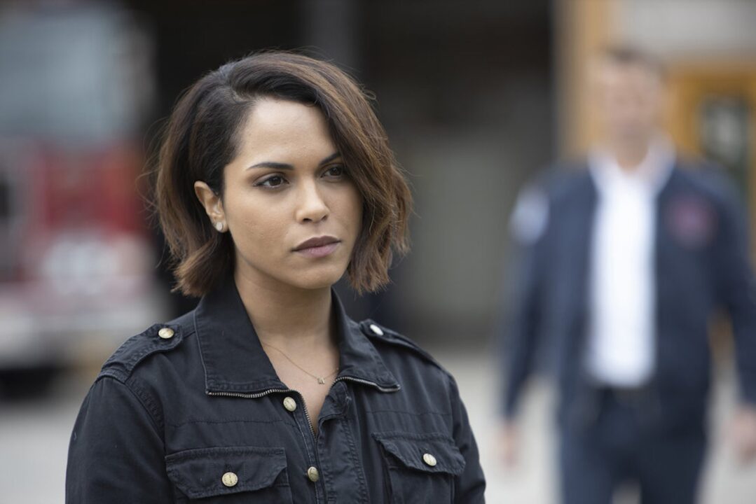 Monica Raymund Computer Wallpapers