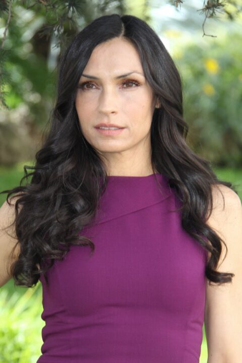 Famke Janssen Purple Dress
