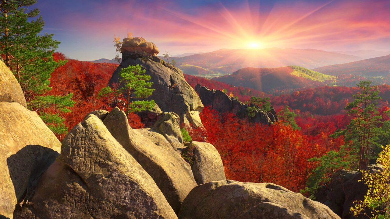 Morning Wallpapers HQ Wallpapers